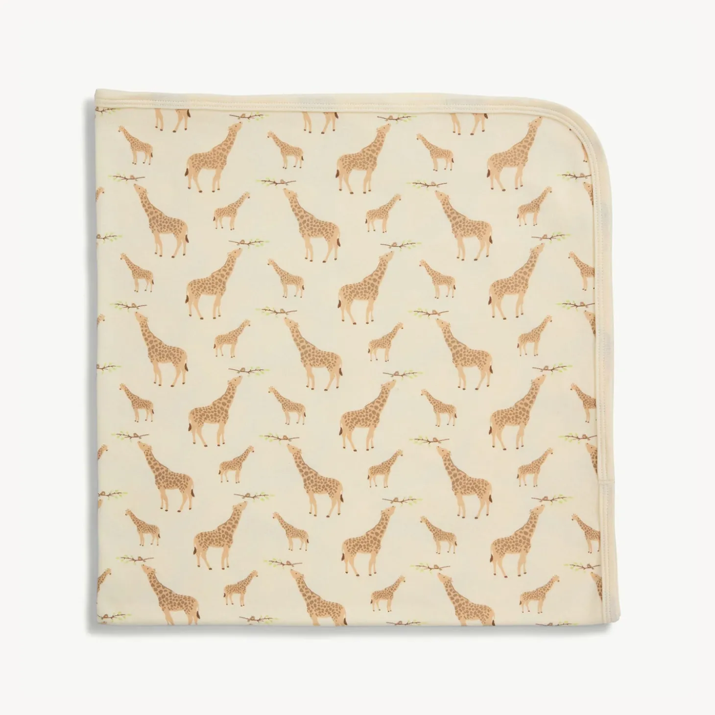 Baby Blanket