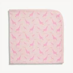 Baby Blanket
