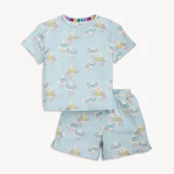Magnetic PJ Set